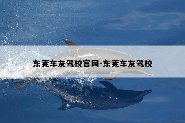 东莞车友驾校官网-东莞车友驾校-第1张图片-优惠活动网