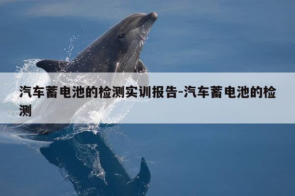 汽车蓄电池的检测实训报告-汽车蓄电池的检测-第1张图片-优惠活动网 汽车蓄电池的检测实训报告-汽车蓄电池的检测-第1张图片-优惠活动网