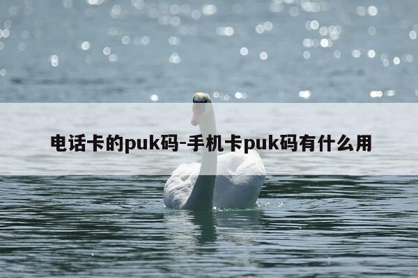 电话卡的puk码-手机卡puk码有什么用-第1张图片-优惠活动网 电话卡的puk码-手机卡puk码有什么用-第1张图片-优惠活动网