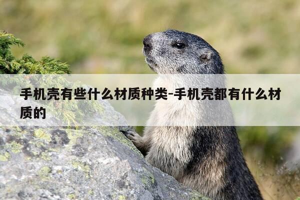 手机壳有些什么材质种类-手机壳都有什么材质的-第1张图片-优惠活动网 手机壳有些什么材质种类-手机壳都有什么材质的-第1张图片-优惠活动网