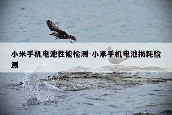 小米手机电池性能检测-小米手机电池损耗检测-第1张图片-优惠活动网