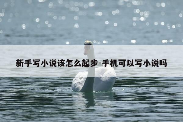 新手写小说该怎么起步-手机可以写小说吗-第1张图片-优惠活动网 新手写小说该怎么起步-手机可以写小说吗-第1张图片-优惠活动网