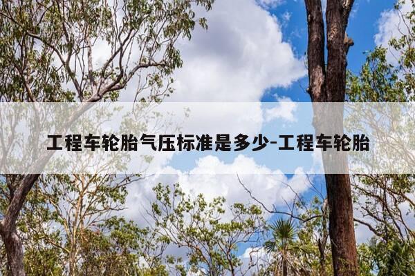 工程车轮胎气压标准是多少-工程车轮胎-第1张图片-优惠活动网