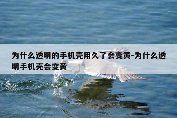 为什么透明的手机壳用久了会变黄-为什么透明手机壳会变黄-第1张图片-优惠活动网 为什么透明的手机壳用久了会变黄-为什么透明手机壳会变黄-第1张图片-优惠活动网
