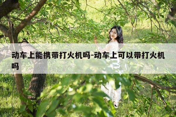 动车上能携带打火机吗-动车上可以带打火机吗-第1张图片-优惠活动网