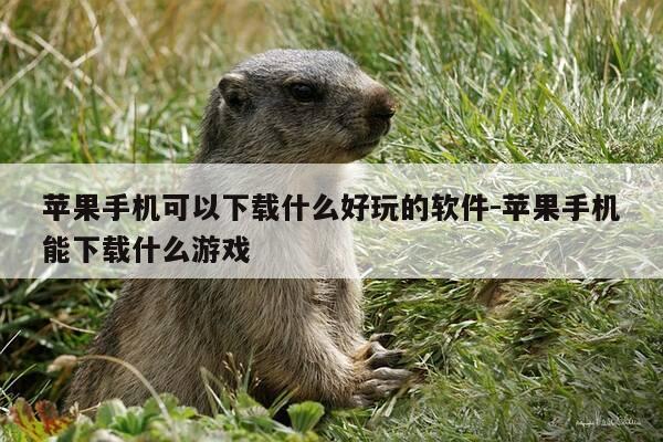 苹果手机可以下载什么好玩的软件-苹果手机能下载什么游戏-第1张图片-优惠活动网 苹果手机可以下载什么好玩的软件-苹果手机能下载什么游戏-第1张图片-优惠活动网