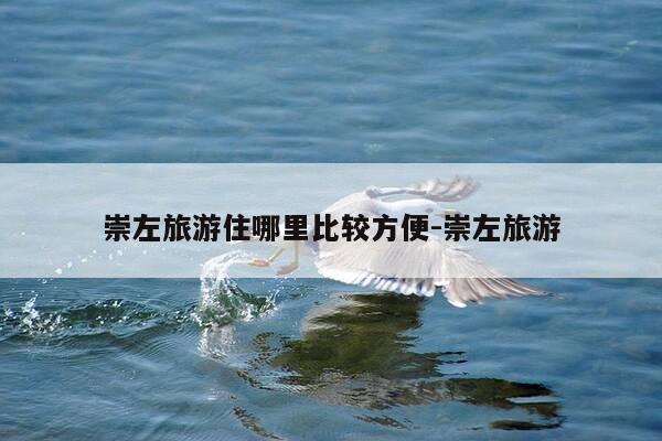 崇左旅游住哪里比较方便-崇左旅游-第1张图片-优惠活动网 崇左旅游住哪里比较方便-崇左旅游-第1张图片-优惠活动网