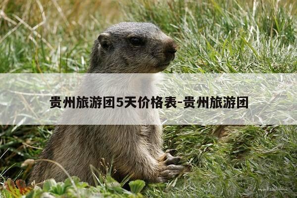 贵州旅游团5天价格表-贵州旅游团-第1张图片-优惠活动网 贵州旅游团5天价格表-贵州旅游团-第1张图片-优惠活动网