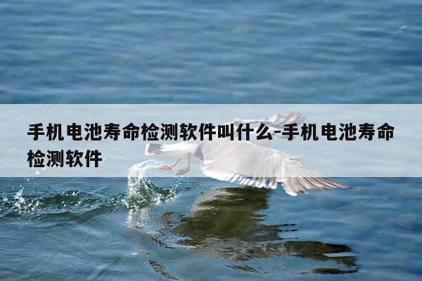 手机电池寿命检测软件叫什么-手机电池寿命检测软件-第1张图片-优惠活动网 手机电池寿命检测软件叫什么-手机电池寿命检测软件-第1张图片-优惠活动网