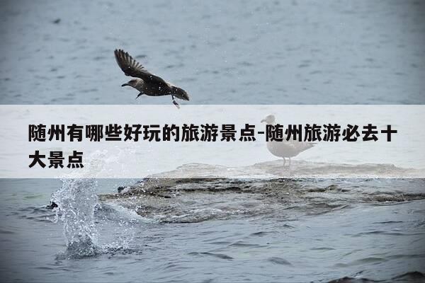 随州有哪些好玩的旅游景点-随州旅游必去十大景点-第1张图片-优惠活动网 随州有哪些好玩的旅游景点-随州旅游必去十大景点-第1张图片-优惠活动网