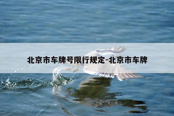 北京市车牌号限行规定-北京市车牌-第1张图片-优惠活动网 北京市车牌号限行规定-北京市车牌-第1张图片-优惠活动网