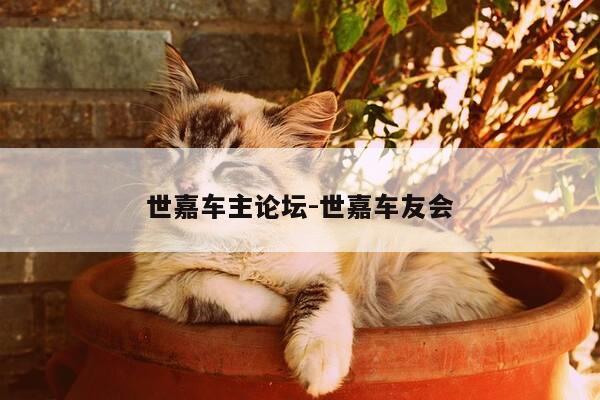 世嘉车主论坛-世嘉车友会-第1张图片-优惠活动网