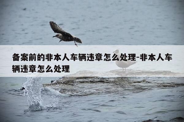 备案前的非本人车辆违章怎么处理-非本人车辆违章怎么处理-第1张图片-优惠活动网 备案前的非本人车辆违章怎么处理-非本人车辆违章怎么处理-第1张图片-优惠活动网