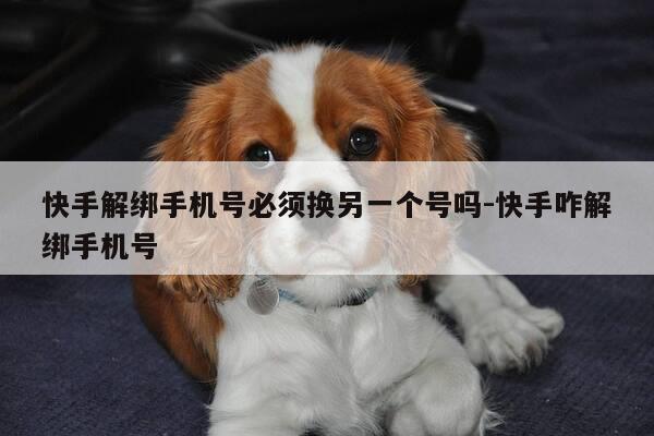 快手解绑手机号必须换另一个号吗-快手咋解绑手机号-第1张图片-优惠活动网 快手解绑手机号必须换另一个号吗-快手咋解绑手机号-第1张图片-优惠活动网