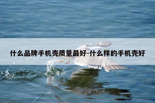 什么品牌手机壳质量最好-什么样的手机壳好-第1张图片-优惠活动网 什么品牌手机壳质量最好-什么样的手机壳好-第1张图片-优惠活动网