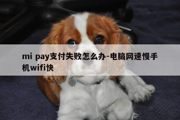 mi pay支付失败怎么办-电脑网速慢手机wifi快-第1张图片-优惠活动网 mi pay支付失败怎么办-电脑网速慢手机wifi快-第1张图片-优惠活动网