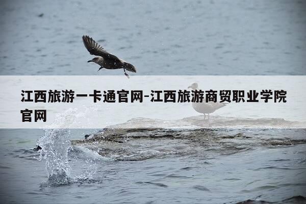江西旅游一卡通官网-江西旅游商贸职业学院官网-第1张图片-优惠活动网 江西旅游一卡通官网-江西旅游商贸职业学院官网-第1张图片-优惠活动网
