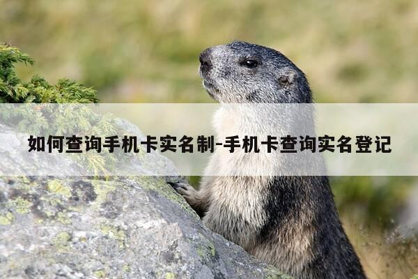 如何查询手机卡实名制-手机卡查询实名登记-第1张图片-优惠活动网 如何查询手机卡实名制-手机卡查询实名登记-第1张图片-优惠活动网