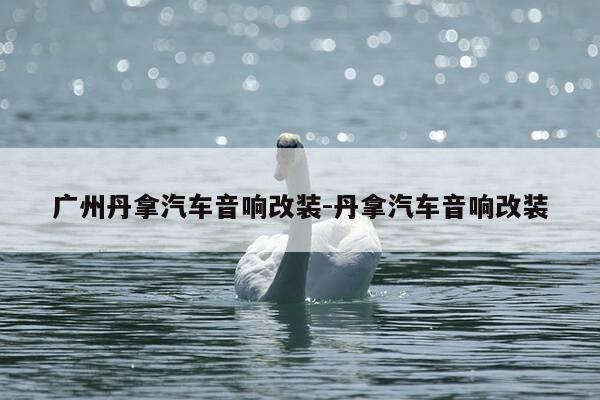 广州丹拿汽车音响改装-丹拿汽车音响改装-第1张图片-优惠活动网 广州丹拿汽车音响改装-丹拿汽车音响改装-第1张图片-优惠活动网