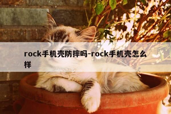 rock手机壳防摔吗-rock手机壳怎么样-第1张图片-优惠活动网