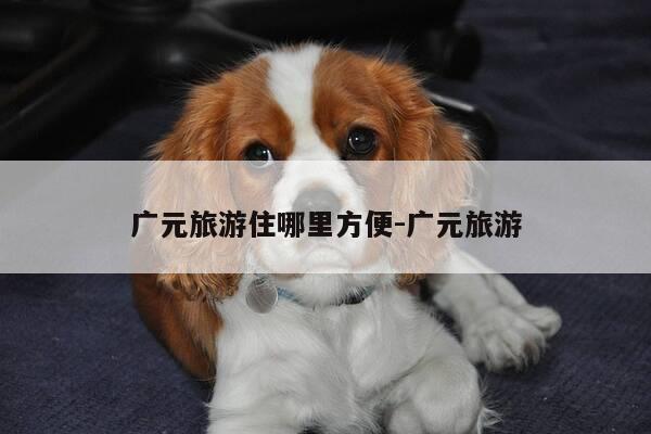 广元旅游住哪里方便-广元旅游-第1张图片-优惠活动网 广元旅游住哪里方便-广元旅游-第1张图片-优惠活动网