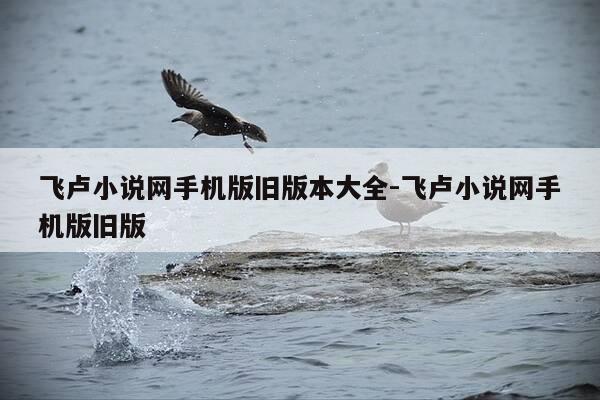 飞卢小说网手机版旧版本大全-飞卢小说网手机版旧版-第1张图片-优惠活动网 飞卢小说网手机版旧版本大全-飞卢小说网手机版旧版-第1张图片-优惠活动网