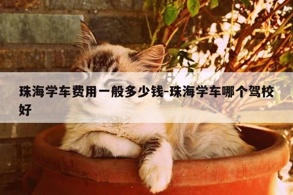 珠海学车费用一般多少钱-珠海学车哪个驾校好-第1张图片-优惠活动网 珠海学车费用一般多少钱-珠海学车哪个驾校好-第1张图片-优惠活动网