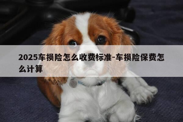 2025车损险怎么收费标准-车损险保费怎么计算-第1张图片-优惠活动网 2025车损险怎么收费标准-车损险保费怎么计算-第1张图片-优惠活动网