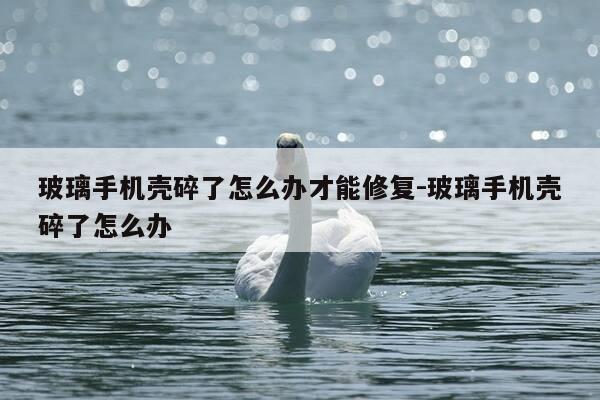 玻璃手机壳碎了怎么办才能修复-玻璃手机壳碎了怎么办-第1张图片-优惠活动网 玻璃手机壳碎了怎么办才能修复-玻璃手机壳碎了怎么办-第1张图片-优惠活动网