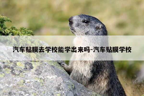 汽车贴膜去学校能学出来吗-汽车贴膜学校-第1张图片-优惠活动网