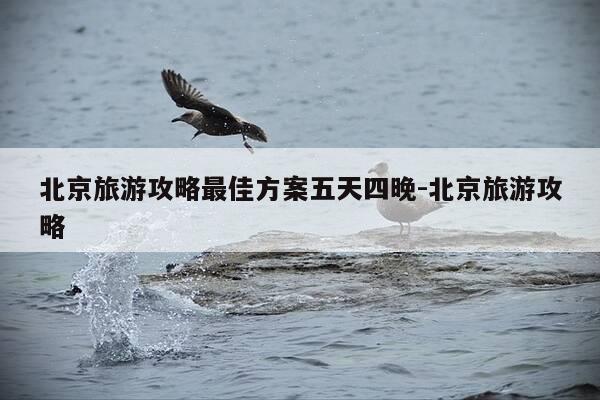 北京旅游攻略最佳方案五天四晚-北京旅游攻略-第1张图片-优惠活动网 北京旅游攻略最佳方案五天四晚-北京旅游攻略-第1张图片-优惠活动网