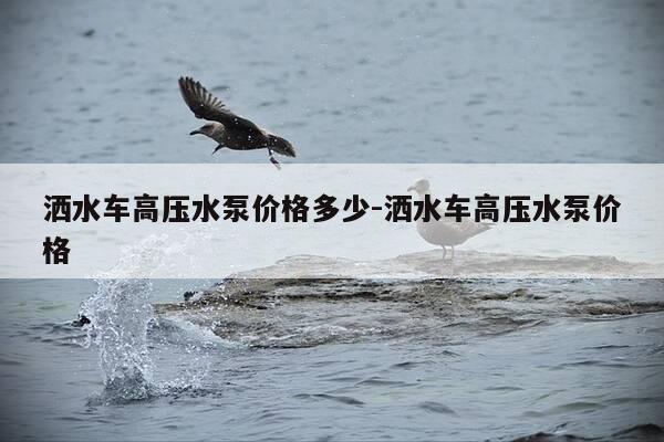 洒水车高压水泵价格多少-洒水车高压水泵价格-第1张图片-优惠活动网 洒水车高压水泵价格多少-洒水车高压水泵价格-第1张图片-优惠活动网