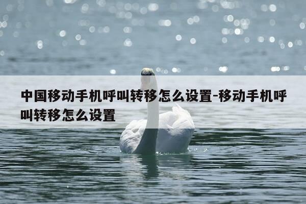 中国移动手机呼叫转移怎么设置-移动手机呼叫转移怎么设置-第1张图片-优惠活动网 中国移动手机呼叫转移怎么设置-移动手机呼叫转移怎么设置-第1张图片-优惠活动网