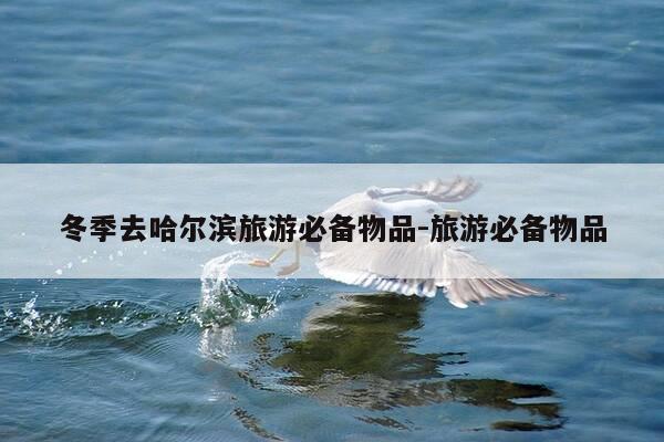 冬季去哈尔滨旅游必备物品-旅游必备物品-第1张图片-优惠活动网 冬季去哈尔滨旅游必备物品-旅游必备物品-第1张图片-优惠活动网