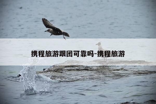 携程旅游跟团可靠吗-携程旅游-第1张图片-优惠活动网 携程旅游跟团可靠吗-携程旅游-第1张图片-优惠活动网