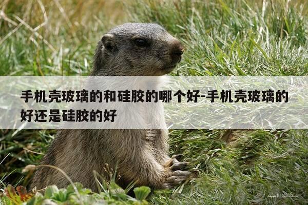 手机壳玻璃的和硅胶的哪个好-手机壳玻璃的好还是硅胶的好-第1张图片-优惠活动网 手机壳玻璃的和硅胶的哪个好-手机壳玻璃的好还是硅胶的好-第1张图片-优惠活动网