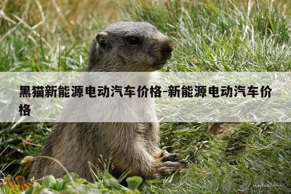 黑猫新能源电动汽车价格-新能源电动汽车价格-第1张图片-优惠活动网 黑猫新能源电动汽车价格-新能源电动汽车价格-第1张图片-优惠活动网