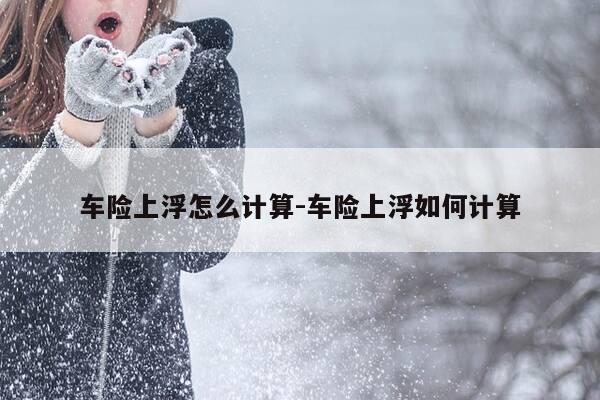 车险上浮怎么计算-车险上浮如何计算-第1张图片-优惠活动网