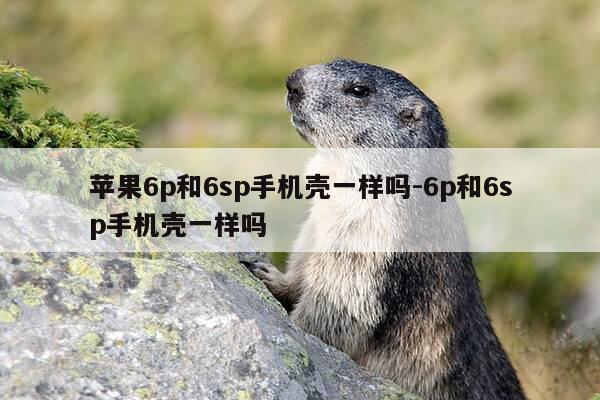 苹果6p和6sp手机壳一样吗-6p和6sp手机壳一样吗-第1张图片-优惠活动网 苹果6p和6sp手机壳一样吗-6p和6sp手机壳一样吗-第1张图片-优惠活动网