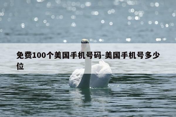 免费100个美国手机号码-美国手机号多少位-第1张图片-优惠活动网 免费100个美国手机号码-美国手机号多少位-第1张图片-优惠活动网