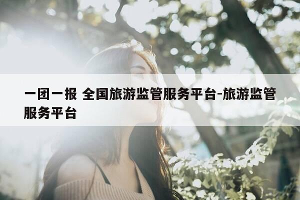 一团一报 全国旅游监管服务平台-旅游监管服务平台-第1张图片-优惠活动网