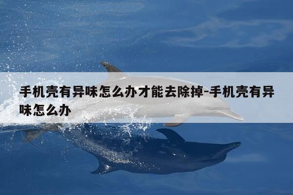 手机壳有异味怎么办才能去除掉-手机壳有异味怎么办-第1张图片-优惠活动网 手机壳有异味怎么办才能去除掉-手机壳有异味怎么办-第1张图片-优惠活动网