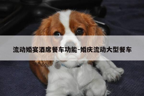 流动婚宴酒席餐车功能-婚庆流动大型餐车-第1张图片-优惠活动网 流动婚宴酒席餐车功能-婚庆流动大型餐车-第1张图片-优惠活动网