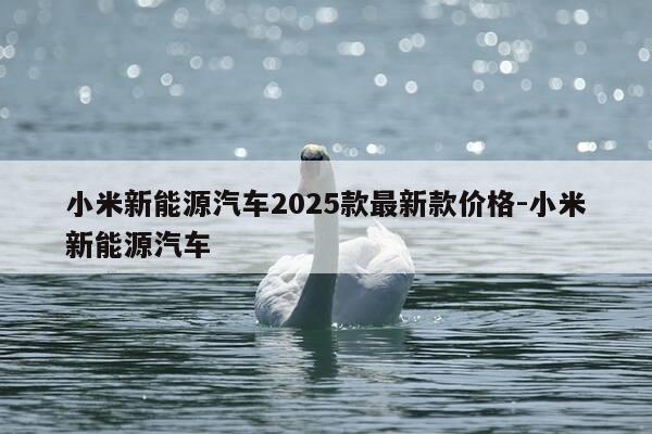 小米新能源汽车2025款最新款价格-小米新能源汽车-第1张图片-优惠活动网 小米新能源汽车2025款最新款价格-小米新能源汽车-第1张图片-优惠活动网
