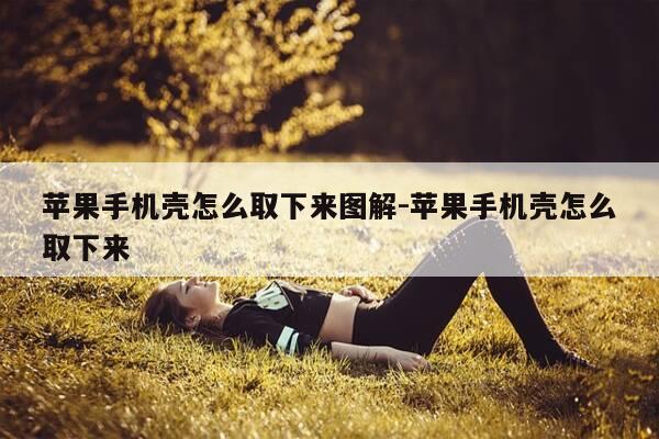 苹果手机壳怎么取下来图解-苹果手机壳怎么取下来-第1张图片-优惠活动网