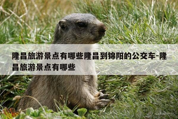 隆昌旅游景点有哪些隆昌到锦阳的公交车-隆昌旅游景点有哪些-第1张图片-优惠活动网 隆昌旅游景点有哪些隆昌到锦阳的公交车-隆昌旅游景点有哪些-第1张图片-优惠活动网