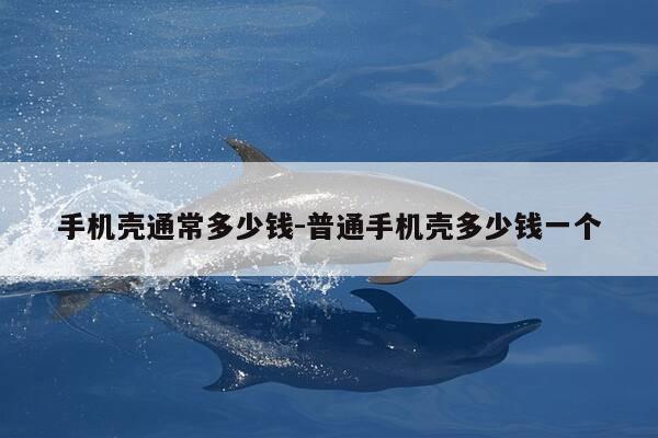 手机壳通常多少钱-普通手机壳多少钱一个-第1张图片-优惠活动网 手机壳通常多少钱-普通手机壳多少钱一个-第1张图片-优惠活动网