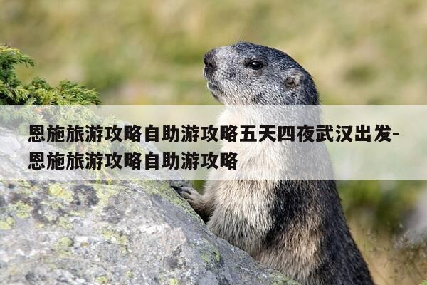 恩施旅游攻略自助游攻略五天四夜武汉出发-恩施旅游攻略自助游攻略-第1张图片-优惠活动网