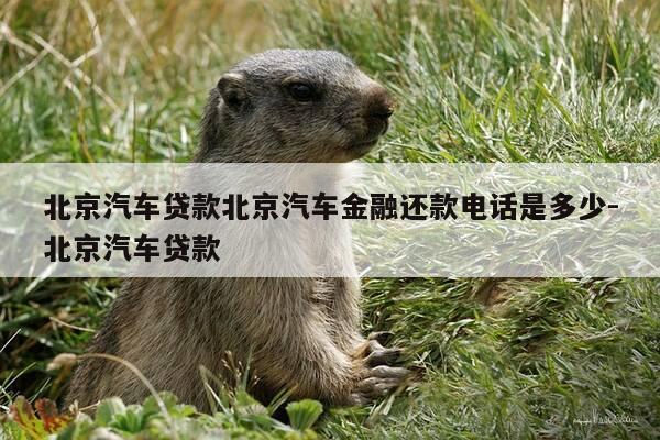 北京汽车贷款北京汽车金融还款电话是多少-北京汽车贷款-第1张图片-优惠活动网 北京汽车贷款北京汽车金融还款电话是多少-北京汽车贷款-第1张图片-优惠活动网