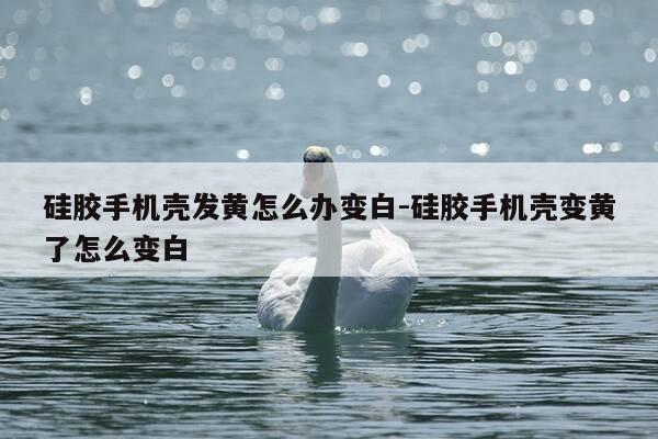 硅胶手机壳发黄怎么办变白-硅胶手机壳变黄了怎么变白-第1张图片-优惠活动网 硅胶手机壳发黄怎么办变白-硅胶手机壳变黄了怎么变白-第1张图片-优惠活动网